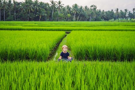 Little boy practices yoga in a rice field, outdoor. Gymnastic exercisesの写真素材