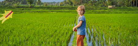 Tourist boy launches a kite in a rice field. Traveling with children concept. Kids friendly place BANNER, LONG FORMATの写真素材