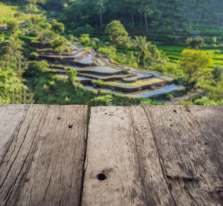 Green cascade rice field plantation at Bali, Indonesiaの写真素材