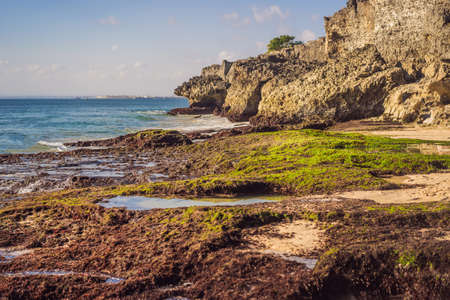 Pantai Tegal Wangi Beach, Bali Island, Indonesiaの写真素材