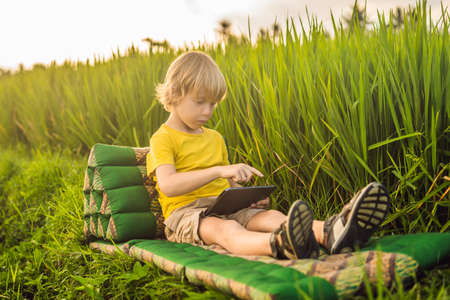 Happy child sitting on the field holding tablet. Boy sitting on the grass on sunny day. Home...