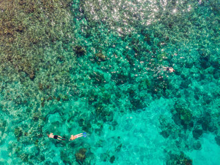 Couple snorkeling in the blue sea ocean and coral background aerial top viewの写真素材