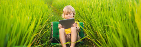 Happy child sitting on the field holding tablet. Boy sitting on the grass on sunny day. Home schooling or playing a tablet BANNER, LONG FORMATの写真素材
