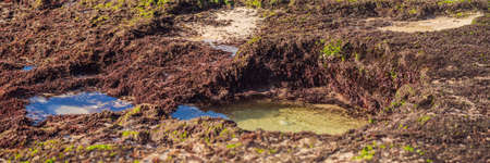 Pantai Tegal Wangi Beach, Bali Island, Indonesia BANNER, LONG FORMAT
