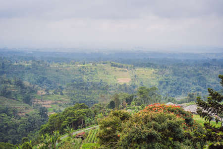 Bedugul District, Bali. View from an abandoned hotelの写真素材