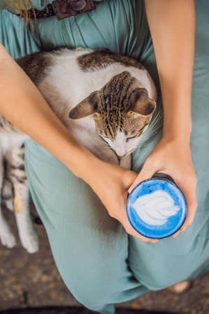 Young woman having a mediterranean breakfast seated at sofa and with her cat and drinks Trendy...