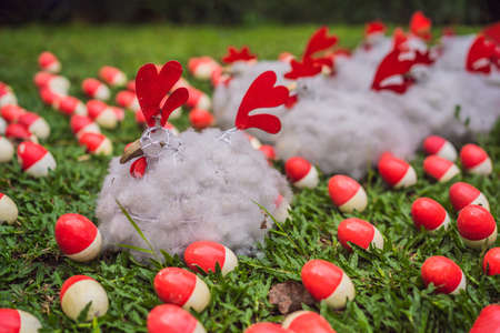 Chicken and red eggs on the lawn