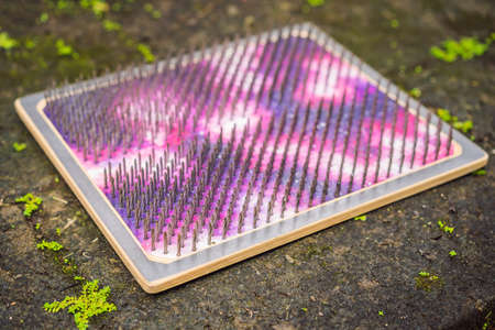 Wooden board with a lot of hammered metal nails. Yoga Tool