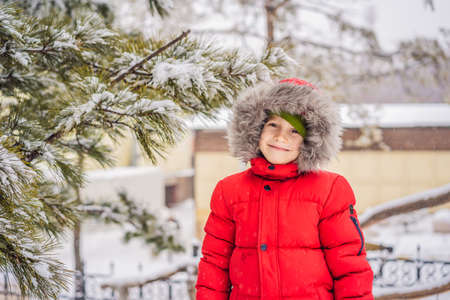 Happy boy plays with snow. Cute kid throwing snow in a winter park. Happy winter holidays.の写真素材