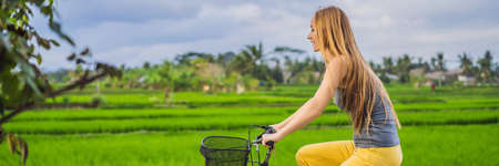 A young woman rides a bicycle on a rice field in Ubud, Bali. Bali Travel Concept BANNER, LONG FORMATの写真素材