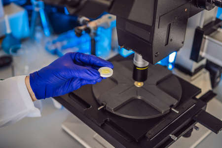 Science lab research safe of new drugs, microscope and pills coronavirus