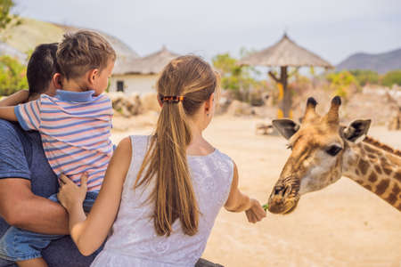 Happy mother, father and son watching and feeding giraffe in zoo. Happy family having fun with animals safari park on warm summer dayの写真素材