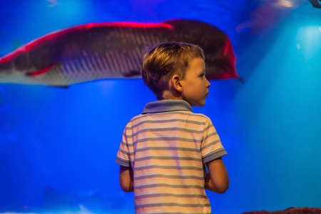 Young boy enjoy the view at an aquariumの写真素材