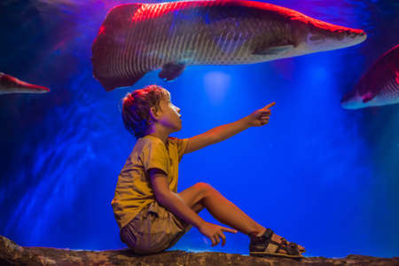 Young boy enjoy the view at an aquariumの写真素材