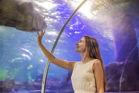 A young woman touches a stingray fish in an oceanarium tunnelの写真素材