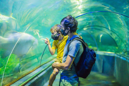 Dad and son in medical masks look at the fish in the aquarium in oceanarium. People walk in medical masks after the end of the coronovirusの写真素材