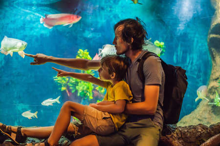 Father and son look at the fish in the aquarium in oceanariumの写真素材