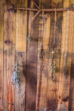 Bunch of lavender flowers on an old wood wall