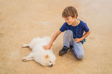 Little cute boy stroking a furry dogの写真素材
