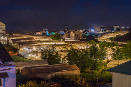 Night scene of a valley in Dalat with the greenhouses to plant flowers and vegetablesの写真素材