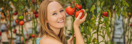 Close up of woman holding tomatoes on branch next to her face, thinking of eating it BANNER, LONG FORMATの写真素材
