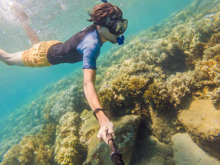Snorkeling in a coral garden with colorful tropical fish, Caribbean sea