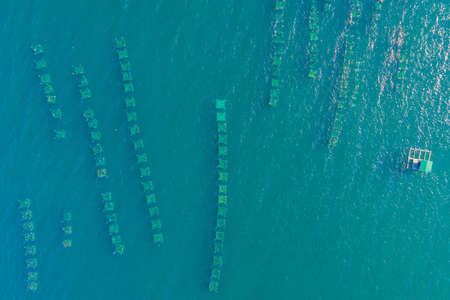 Lots of marine farms in a blue sea water. Sea farming conceptの写真素材