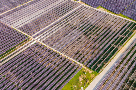 Aerial view of the solar panel in solar farm for green energyの写真素材