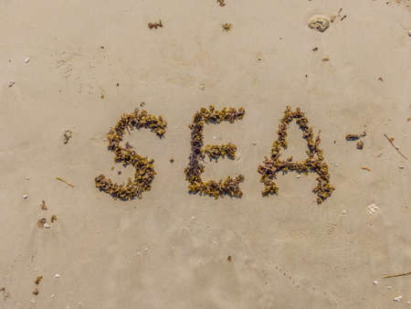 A beach with an inscription in English: sea. The letters are made by seaweed. Sea vacation after coronavirus COVID 19の写真素材