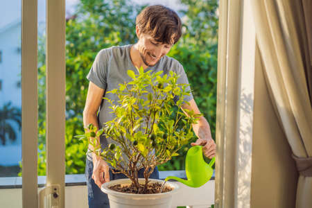handsome stylish man gardening and watering at homeの写真素材