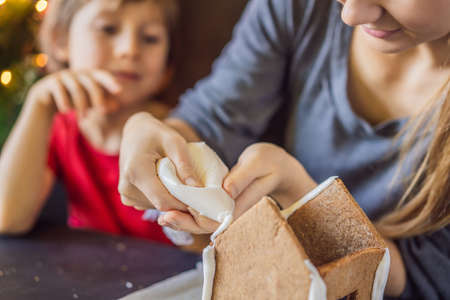 Young mother and kid making gingerbread house on Christmas eveの写真素材