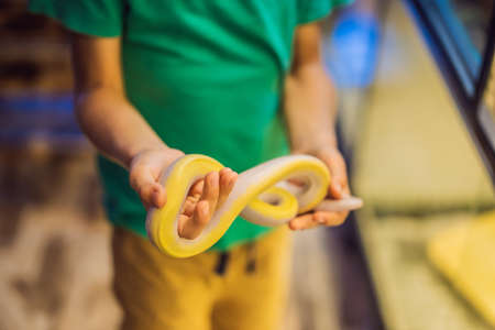 Smiling boy holding python in his hands