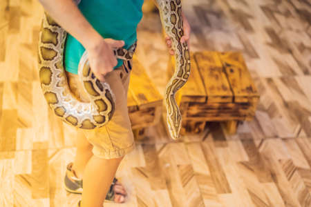 Smiling boy holding python in his handsの写真素材