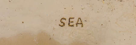 A beach with an inscription in English: sea. The letters are made by seaweed. Sea vacation after...