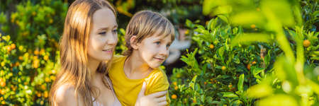 Caucasian tourists mother and son in Tet holidays. Vietnam Chinese Lunar New Year in springtime...