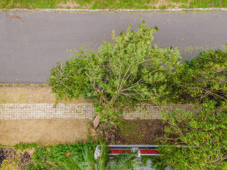 Trees damaged and uprooted after a violent storm. Trees have fallen in a residential villageの写真素材