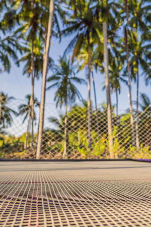 Outdoor trampoline on a background of palm treesの写真素材