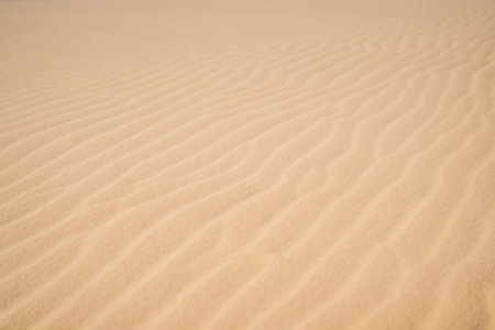 Desert - Global Warming. Huge dunes of the desert. Fine place for photographers and travelers. Beautiful structures of sandy barkhansの写真素材