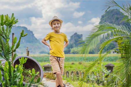 Boy tourist on top pagoda of Hang Mua temple, rice fields, Ninh Binh, Vietnam.の写真素材