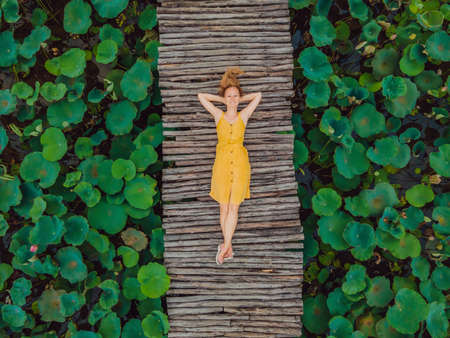 Young woman in a yellow dress on the path among the lotus lake. Mua Cave, Ninh Binh, Vietnam....