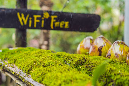 Free WiFi in nature in the forestの写真素材