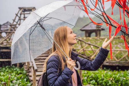 Woman tourist with umbrella in Sapa in the fog, Northwest Vietnam. Vietnam travel concept.の写真素材