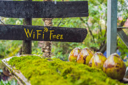 Free Wi-Fi in nature in the forest