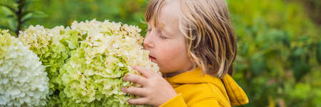 Boy enjoying pink flowers in the garden BANNER, LONG FORMATの写真素材