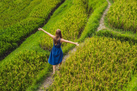 Young woman on Green cascade rice field plantation at Tegalalang terrace. Bali, Indonesiaの写真素材