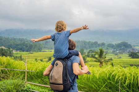 Dad and son travelers on Beautiful Jatiluwih Rice Terraces against the background of famous volcanoes in Bali, Indonesia Traveling with children conceptの写真素材