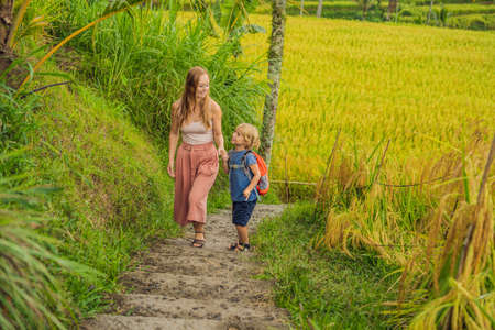 Mom and son travelers on Beautiful Jatiluwih Rice Terraces against the background of famous volcanoes in Bali, Indonesia Traveling with children conceptの写真素材