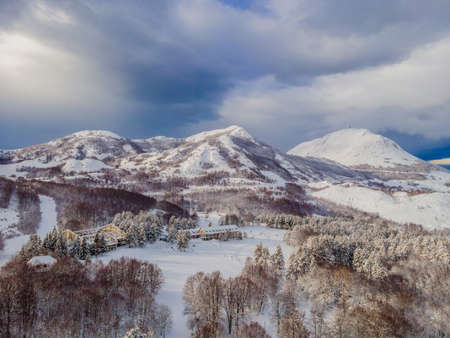 Aerial view of a winter snow-covered pine forest. Winter forest texture. Aerial view. Aerial drone view of a winter landscape. Snow covered forest. Aerial photographyの写真素材