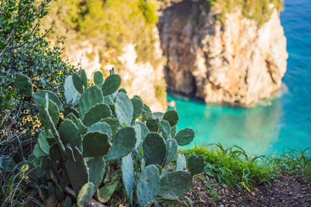 Turquoise sea water of Mediterranean sea. Beautiful emerald green watercolor. Shiny clear ocean water. Transparent bright blue green sea waters surface. Paradise lagoon viewの写真素材