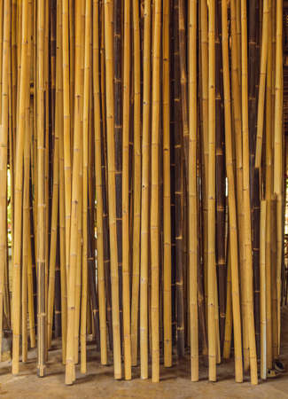 Bamboo village, Traditional houses constructed by Bamboo with Thatch roof in the heart of Bali island. Very unique and green conceptの写真素材